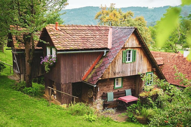 Außenseite Ferienhaus (Sommer)
