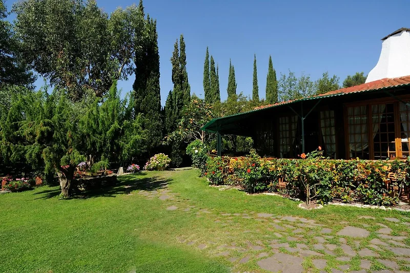 Außenseite Ferienhaus (Sommer)