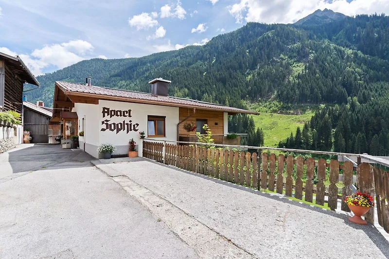 Außenseite Ferienhaus (Sommer)