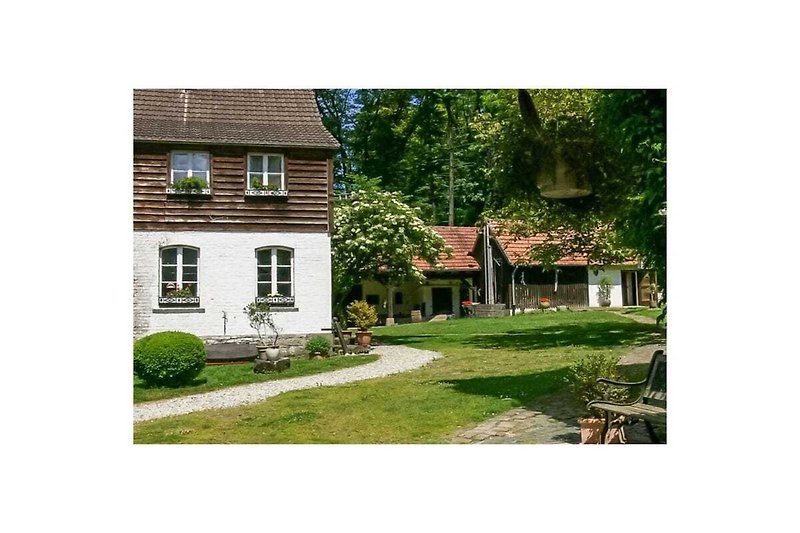 Exterieur vakantiehuis (zomer)