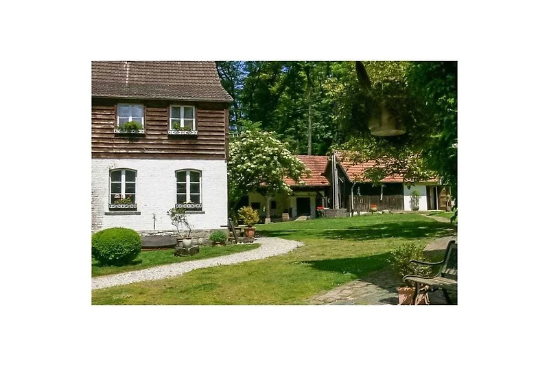 Esterno casa vacanze (estate)