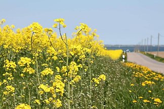 Appartement idyllique au bord de l'est