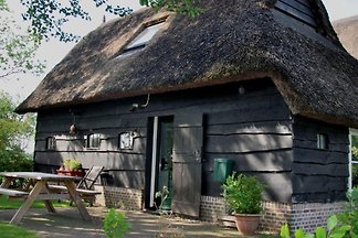 Vakantiehuis De Wolden