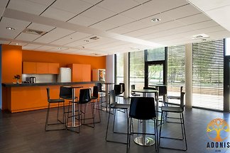 Adonis Dijon Dubbel appartement