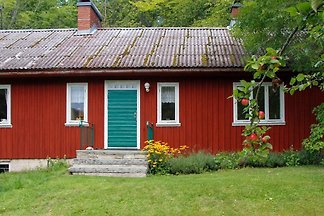 Ferienhaus Mellerud