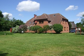 Apartament wakacyjny z 1 sypialnią