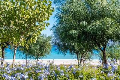 Villa fronte mare con giardino in Calabria