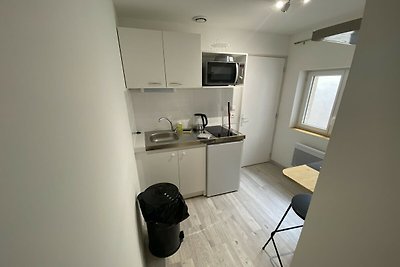 Wohnung am linken Ufer von Toulouse