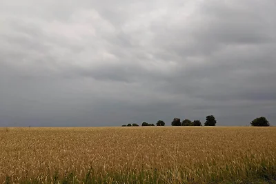 4 Personen Ferienhaus in Ærøskøbing-By Traum