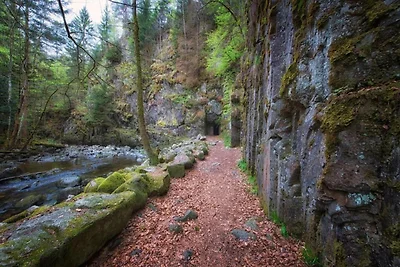 Appartement Martin mit Wellnessbereich