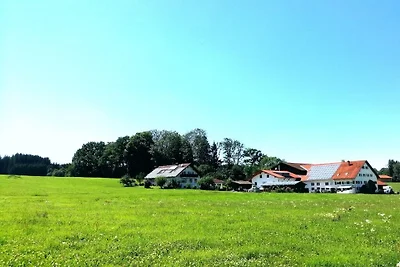 Ferienhof Sommer
