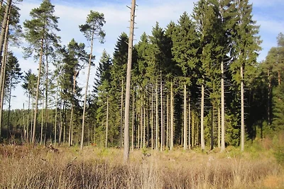 Ferienwohnungen, Lissendorf