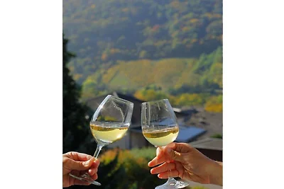 Haus Berghof Mosel