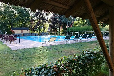 Charmantes Ferienhaus mit Pool in Hulshorst