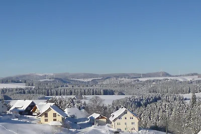 Furtwangen Stay Ski Resort