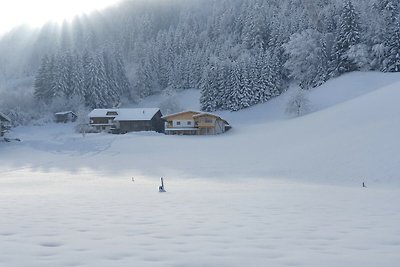 Appartamento a kaltenbach tirolo vicino sci...