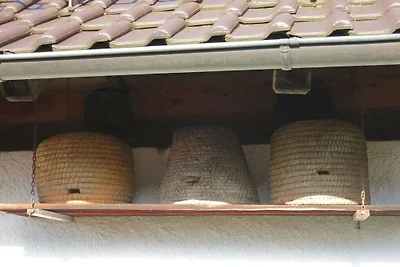 Ferienwohnung mit 1 Schlafzimmer