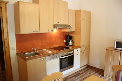 Geräumige Ferienwohnung mit Sauna in Großarl