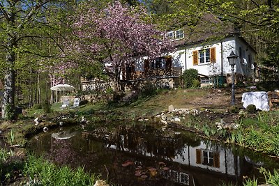 Ferienwohnung in Oberfranken mit Garten