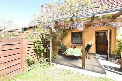 Apartament wakacyjny w Rerik dla maksymalnie ...