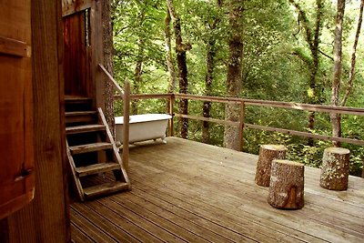 Ecolodge in Sequoia met terras