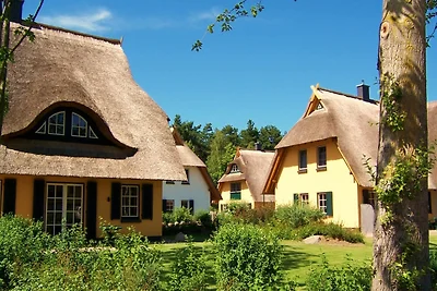 Küstenwaldvilla in Dierhagen