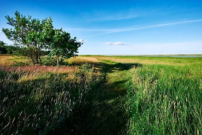 4 Sterne Ferienhaus in Hals-By Traum