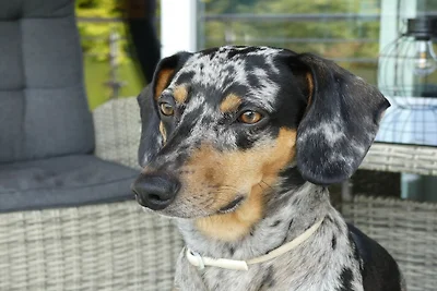 Ferienwohnung mit 2 Schlafzimmer