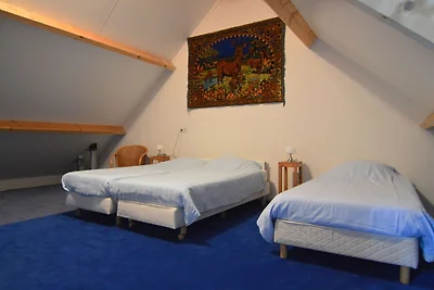 Fijn vakantiehuis in Geesteren midden in de...