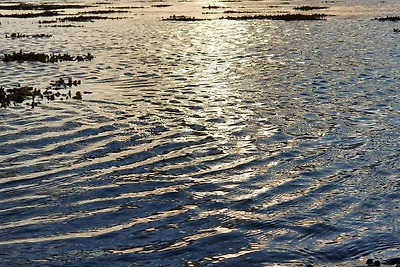 8 Personen Ferienhaus in Holbæk