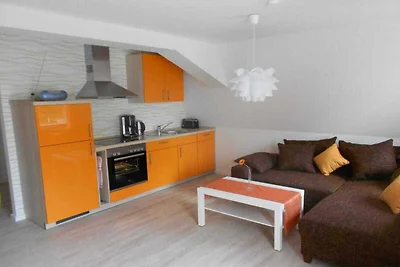 Gabbiano comune nella Haus Glückauf