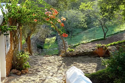 Residenza Boutique a Ibiza con Piscina