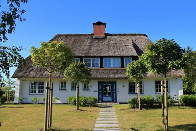 Westerheide Komfortable Ferienresidenz