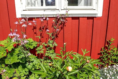 6 persoons vakantie huis in Slöinge