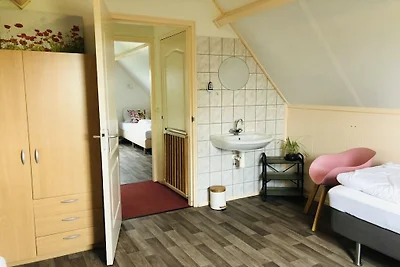 Ferienhaus in texel mit Schwimmbecken