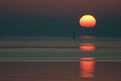 Seehund Komfortable Ferienresidenz