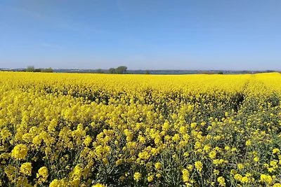 5 persone case ad Sydals