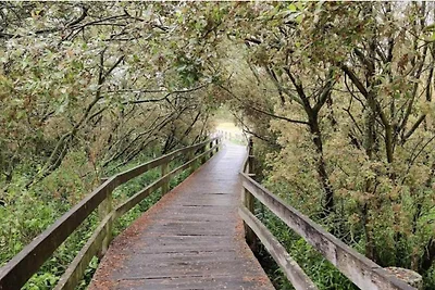 8 Personen Ferienhaus in Store Fuglede-By...