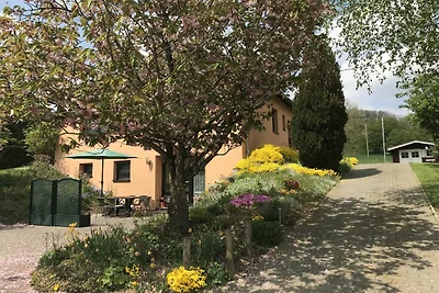 Ferienhaus in Olsdorf