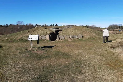 6 Personen Ferienhaus in Allingåbro-By Traum