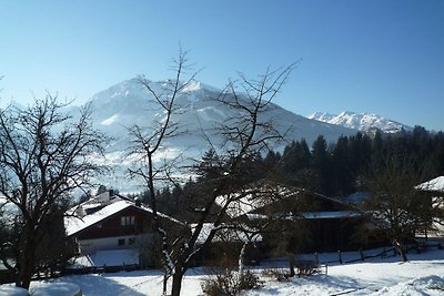 Geräumige Ferienwohnung in Mittersill