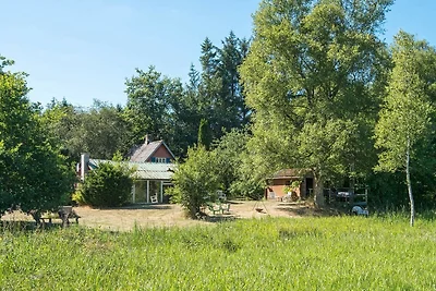 6 Personen Ferienhaus in Brædstrup-By Traum