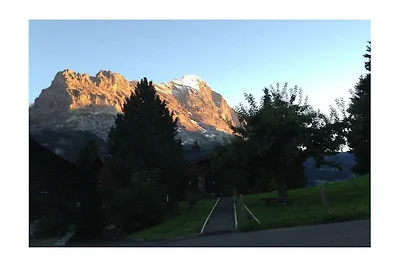 Garbani a Grindelwald