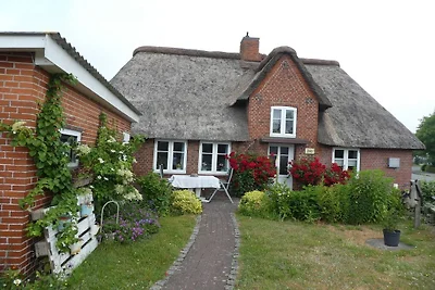 La casa frisona della nonna Anna