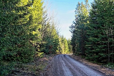 6 Personen Ferienhaus in Vittsjö