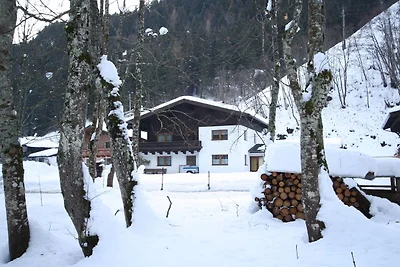 Appartamento vicino sciistico di Mittersill