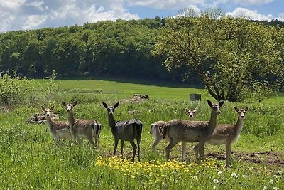 Boswachtershuis Gut Malberg