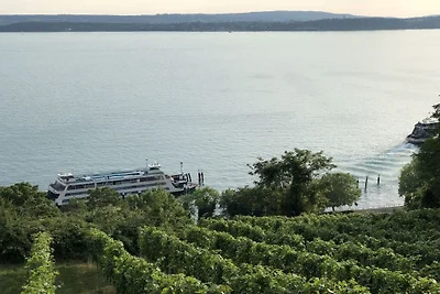 Geiger-Schattner vakantieappartement
