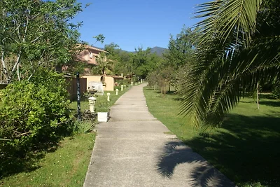 Ferienhaus mit Pool in Moriani-Plage