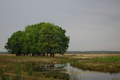 Atmosphärischer Bungalow in der Nähe der...